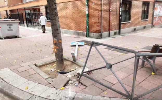 Destrozos causados por el conductor en la calle Soto.