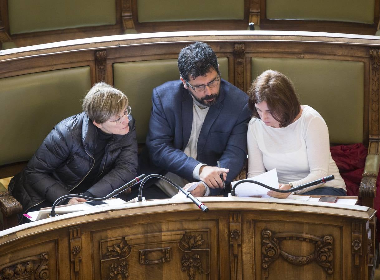 Fotos: Pleno en el Ayuntamiento de Valladolid