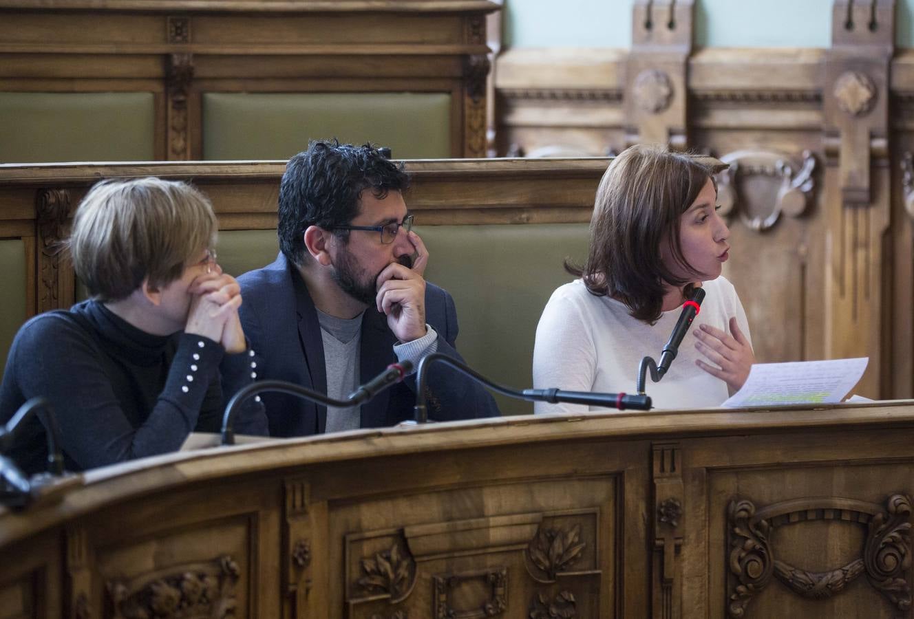 Fotos: Pleno en el Ayuntamiento de Valladolid
