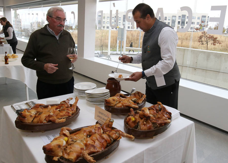 Fotos: Jornada historia y calidad del cochinillo de Segovia