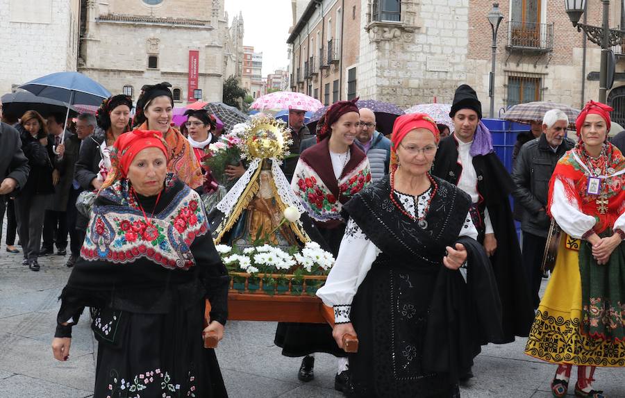 Fotos: Procesión de la Virgen del Camino en Valladolid