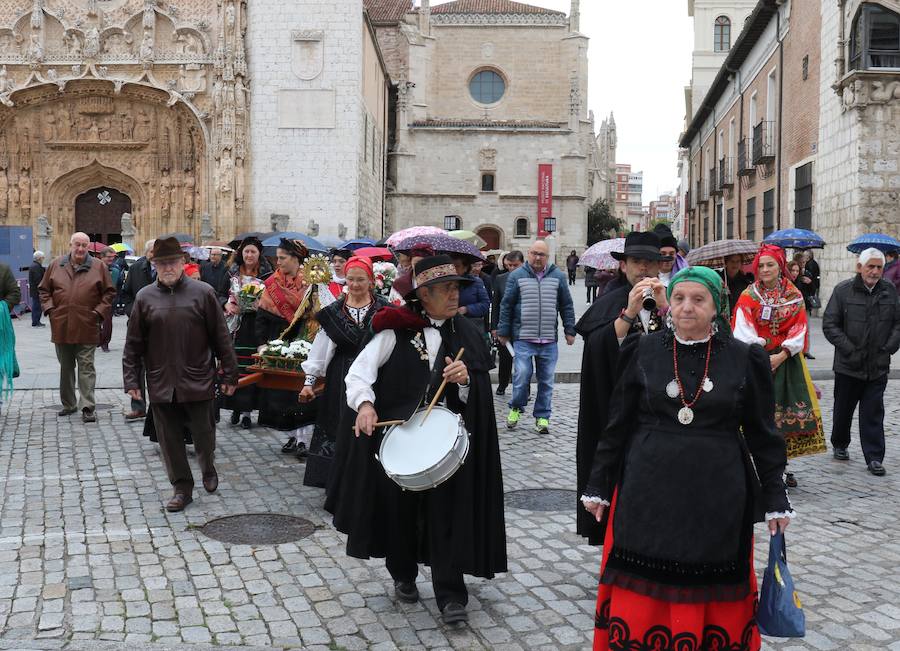 Fotos: Procesión de la Virgen del Camino en Valladolid
