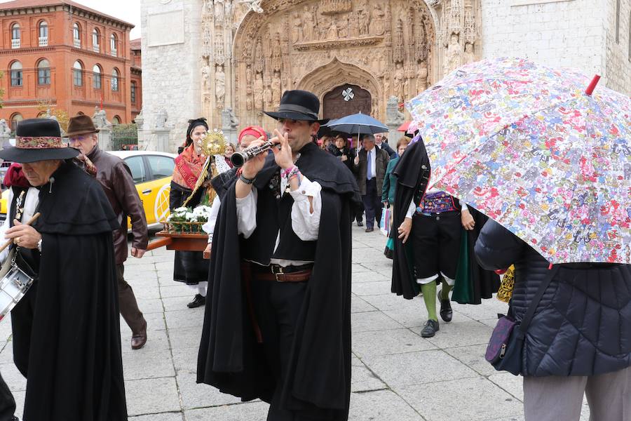 Fotos: Procesión de la Virgen del Camino en Valladolid