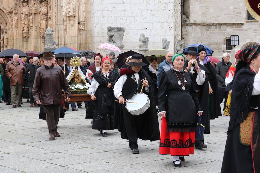 Fotos: Procesión de la Virgen del Camino en Valladolid