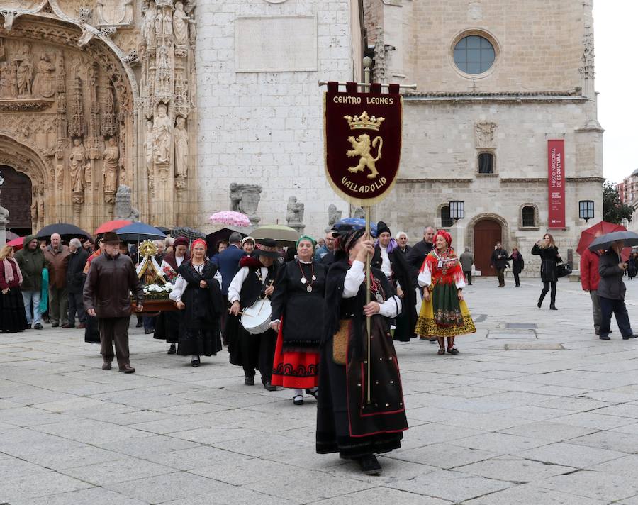 Fotos: Procesión de la Virgen del Camino en Valladolid