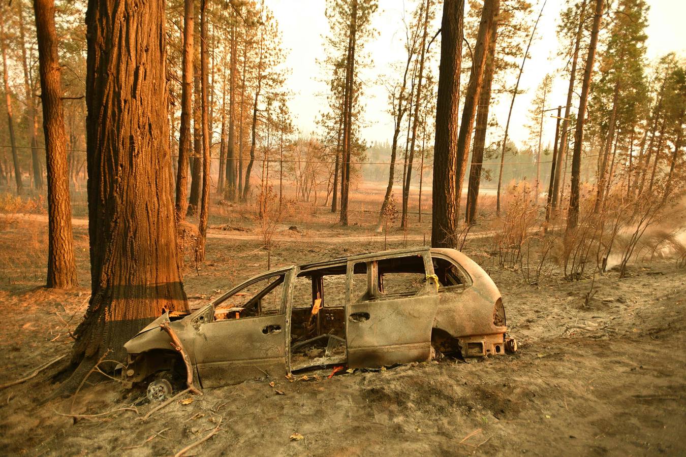 Los incendios forestales que desde el jueves arrasan California, se encuentran entre los más letales en Estados Unidos desde principios de los 90