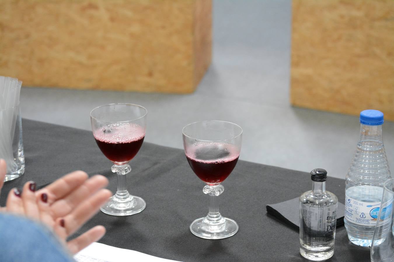 El establecimiento vallisoletano El Niño Perdido ha resultado ganador del primer premio tanto en el concurso provincial de Martinis como en el de Cócteles, mientras que Ambivium, situado en Peñafiel, se ha llevado el de mejor Combinado