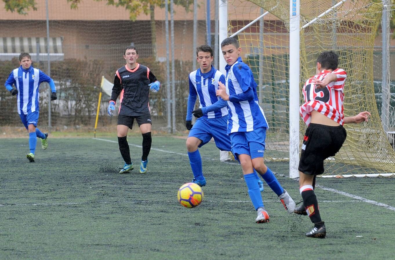 Fotos: Deporte Base del 10 y 11 de noviembre. Valladolid