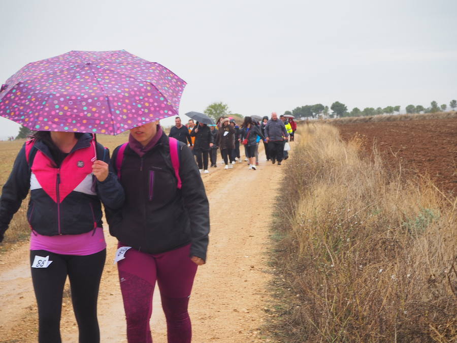 Fotos: Marcha solidaria en Villasexmir para apoyar a la pequeña Julia