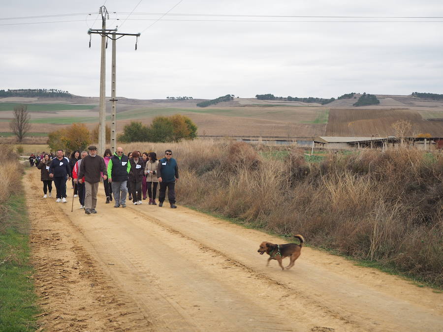 Fotos: Marcha solidaria en Villasexmir para apoyar a la pequeña Julia