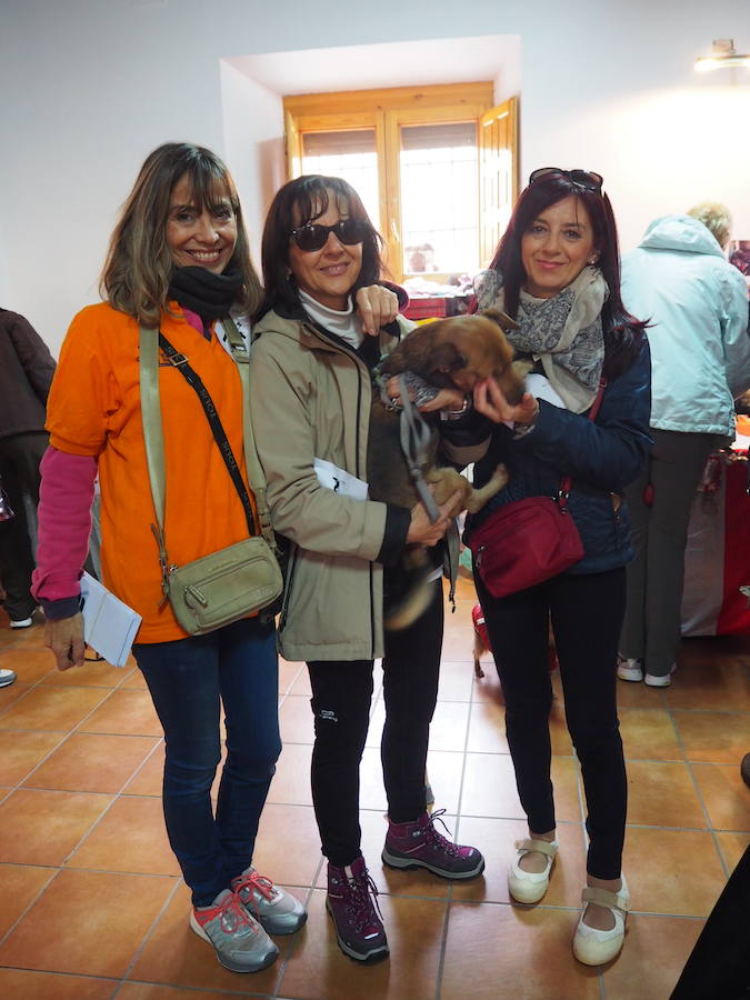 Fotos: Marcha solidaria en Villasexmir para apoyar a la pequeña Julia