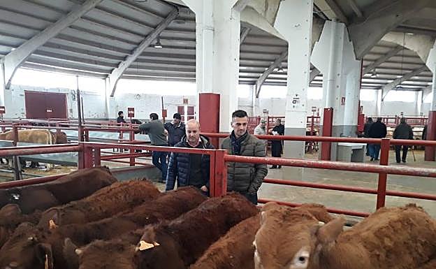 David Castaño, durante su visita a la Feria de Ganado de Salamanca acompañado por el diputado provincial Jesús Luis de San Antonio.