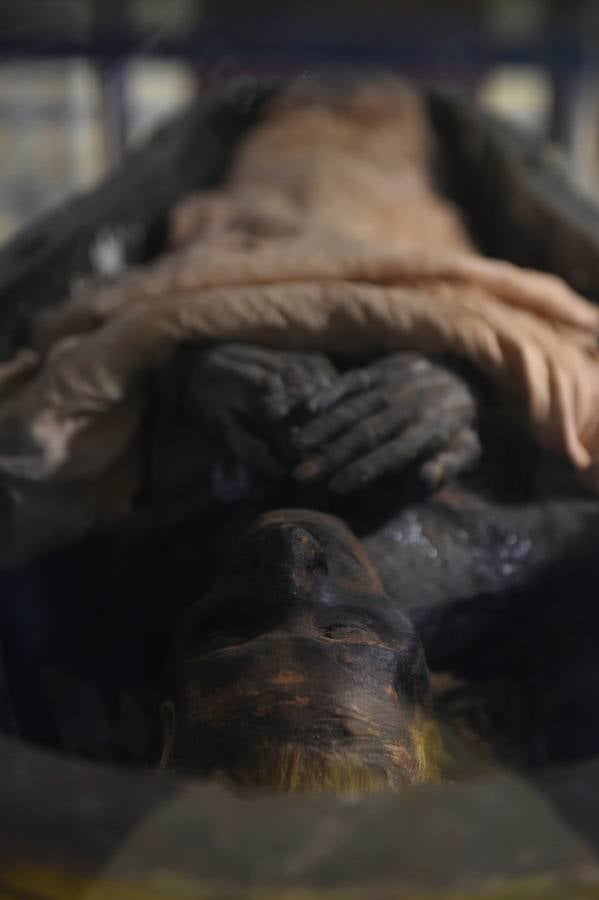 El Museo Egipcio en El Cairo cumple 116 años con una exhibición. Yuya y Thuya son los padres de la Reina Tiye, que fue la esposa del Faraón Amenhotep III, el padre del rey Akhenaton. Esta tumba es famosa debido a sus tesoros únicos, como la rueda de oro de Yuya, y la magnífica colección funeraria que incluye camas, sillas y cajas de madera dorada y decoradas con fayenza, marfil y ébano; así como ollas y vasos de alabastro con incrustaciones de piedras de colores. Las momias de Yuya y Thuya también se encontraron dentro de la tumba en muy buenas condiciones de conservación debido a la alta calidad de los materiales de embalsamamiento utilizados en la época