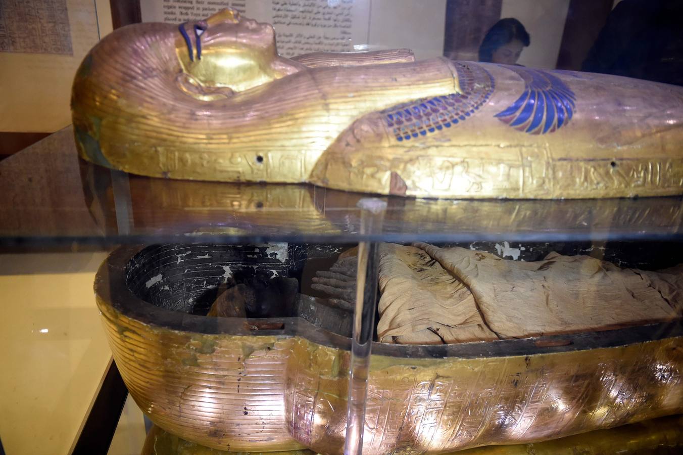 El Museo Egipcio en El Cairo cumple 116 años con una exhibición. Yuya y Thuya son los padres de la Reina Tiye, que fue la esposa del Faraón Amenhotep III, el padre del rey Akhenaton. Esta tumba es famosa debido a sus tesoros únicos, como la rueda de oro de Yuya, y la magnífica colección funeraria que incluye camas, sillas y cajas de madera dorada y decoradas con fayenza, marfil y ébano; así como ollas y vasos de alabastro con incrustaciones de piedras de colores. Las momias de Yuya y Thuya también se encontraron dentro de la tumba en muy buenas condiciones de conservación debido a la alta calidad de los materiales de embalsamamiento utilizados en la época
