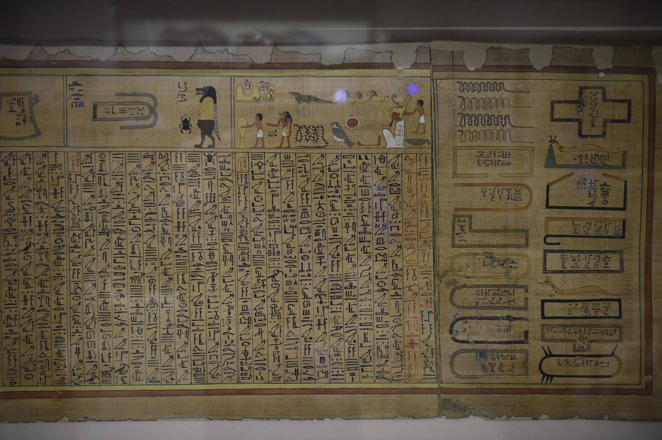 El Museo Egipcio en El Cairo cumple 116 años con una exhibición. Yuya y Thuya son los padres de la Reina Tiye, que fue la esposa del Faraón Amenhotep III, el padre del rey Akhenaton. Esta tumba es famosa debido a sus tesoros únicos, como la rueda de oro de Yuya, y la magnífica colección funeraria que incluye camas, sillas y cajas de madera dorada y decoradas con fayenza, marfil y ébano; así como ollas y vasos de alabastro con incrustaciones de piedras de colores. Las momias de Yuya y Thuya también se encontraron dentro de la tumba en muy buenas condiciones de conservación debido a la alta calidad de los materiales de embalsamamiento utilizados en la época