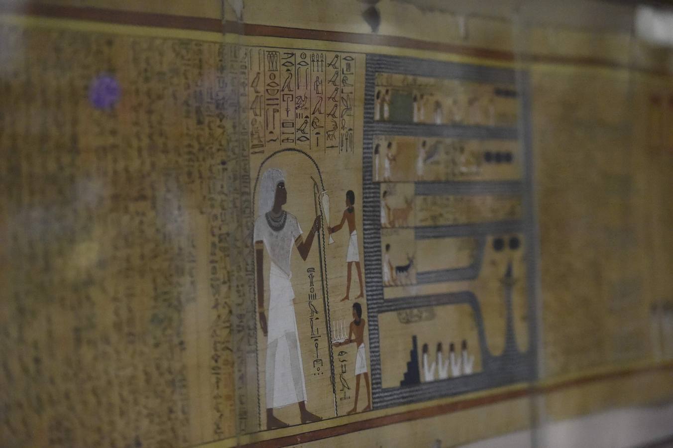 El Museo Egipcio en El Cairo cumple 116 años con una exhibición. Yuya y Thuya son los padres de la Reina Tiye, que fue la esposa del Faraón Amenhotep III, el padre del rey Akhenaton. Esta tumba es famosa debido a sus tesoros únicos, como la rueda de oro de Yuya, y la magnífica colección funeraria que incluye camas, sillas y cajas de madera dorada y decoradas con fayenza, marfil y ébano; así como ollas y vasos de alabastro con incrustaciones de piedras de colores. Las momias de Yuya y Thuya también se encontraron dentro de la tumba en muy buenas condiciones de conservación debido a la alta calidad de los materiales de embalsamamiento utilizados en la época