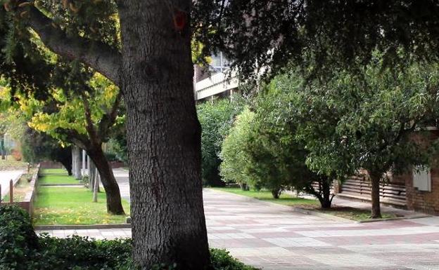 Adivina de qué calle de Valladolid se trata