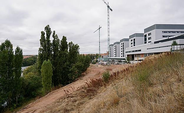 Terrenos del futuro vial.