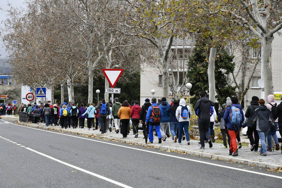 Fotos: Actos contra la violencia de género en El Espinar