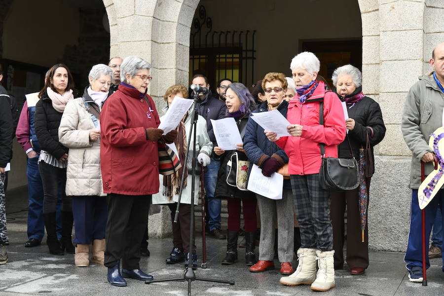 Fotos: Actos contra la violencia de género en El Espinar