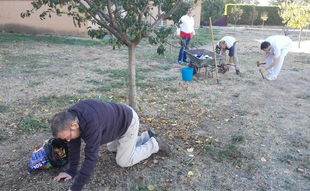 Trabajos prácticos de jardinería en Hermanas Hospitalarias Palencia. 