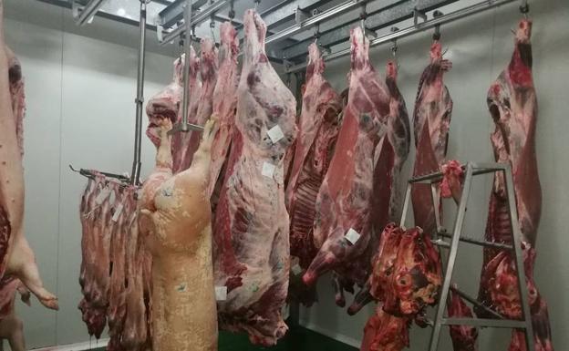 Varias piezas de carne, en el Matadero Municipal de Guardo, Palencia. 