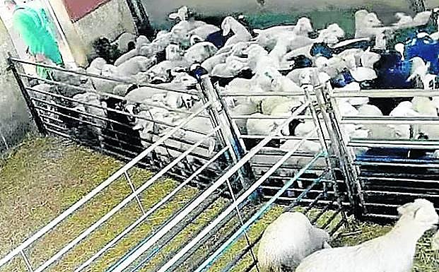 Interior del matadero de Riaza. 