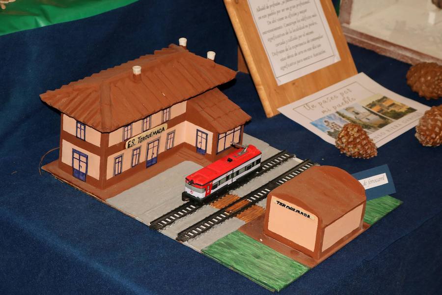 Fotos: Torquemada muestra su cara más solidaria con los afectados por enfermedades