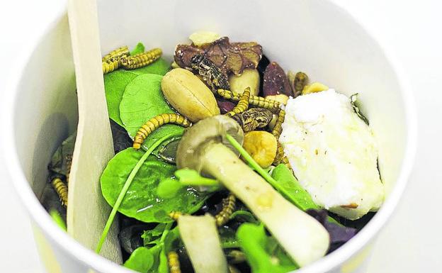 Una ensalada elaborada con gusanos y grillos. :