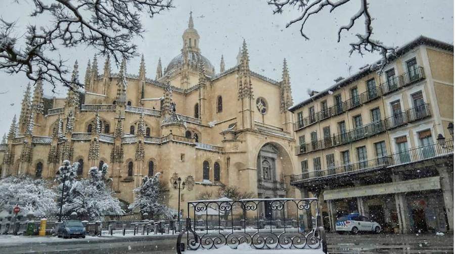 Fotos: Concurso fotográfico sobre la Dama de las Catedrales