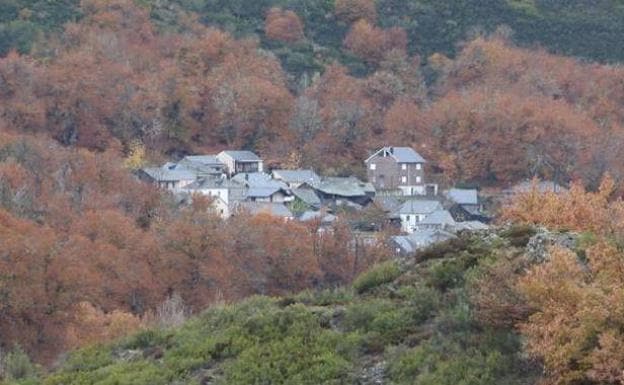 Imagen principal - Arriba, vista de un pueblo entre los frondosos bosques de los Ancares Leoneses; abajo a la izquierda, un plato de botillo; y a la derecha, la zon de los castros, en Chano. 