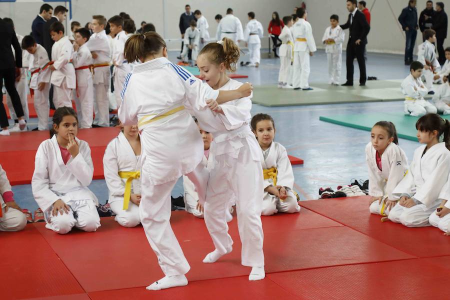 Fotos: Fiesta del Judo en Quintanilla de Onésimo