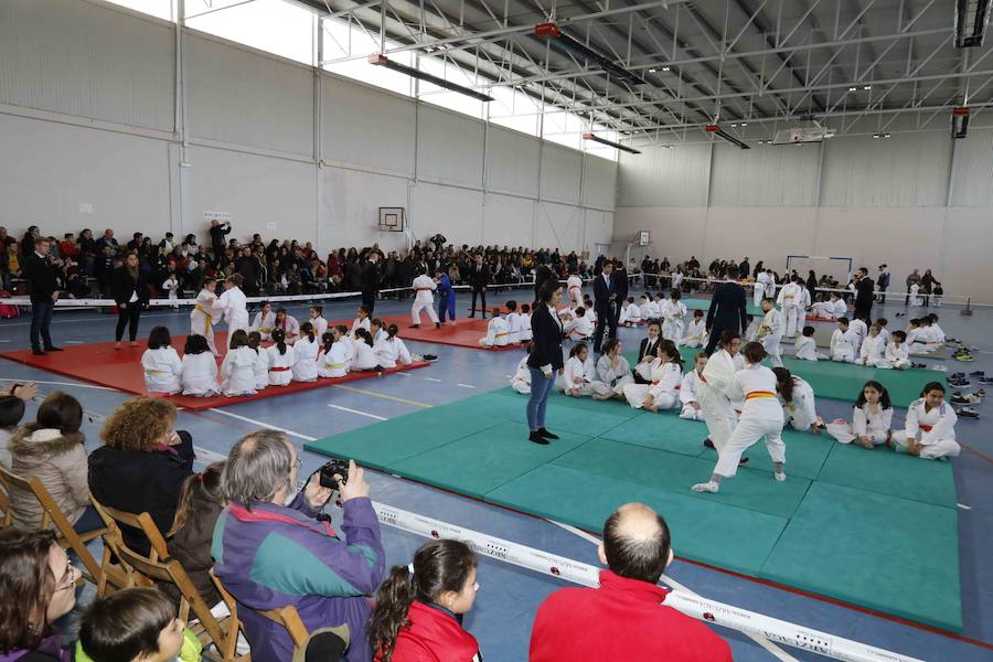 Fotos: Fiesta del Judo en Quintanilla de Onésimo