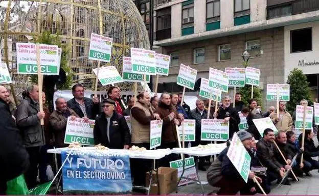 Los ganadores de Castilla y León se concentran en Valladolid en protesta a los precios del sector ovino.