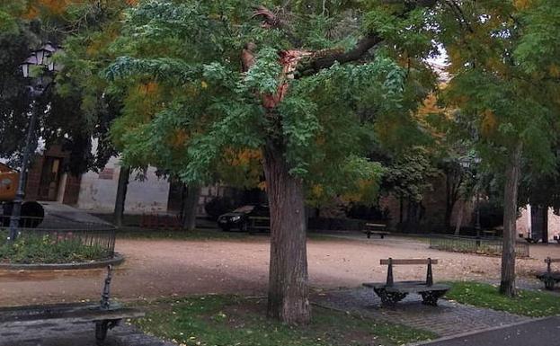 Paseo del Salóm, en Segovia.