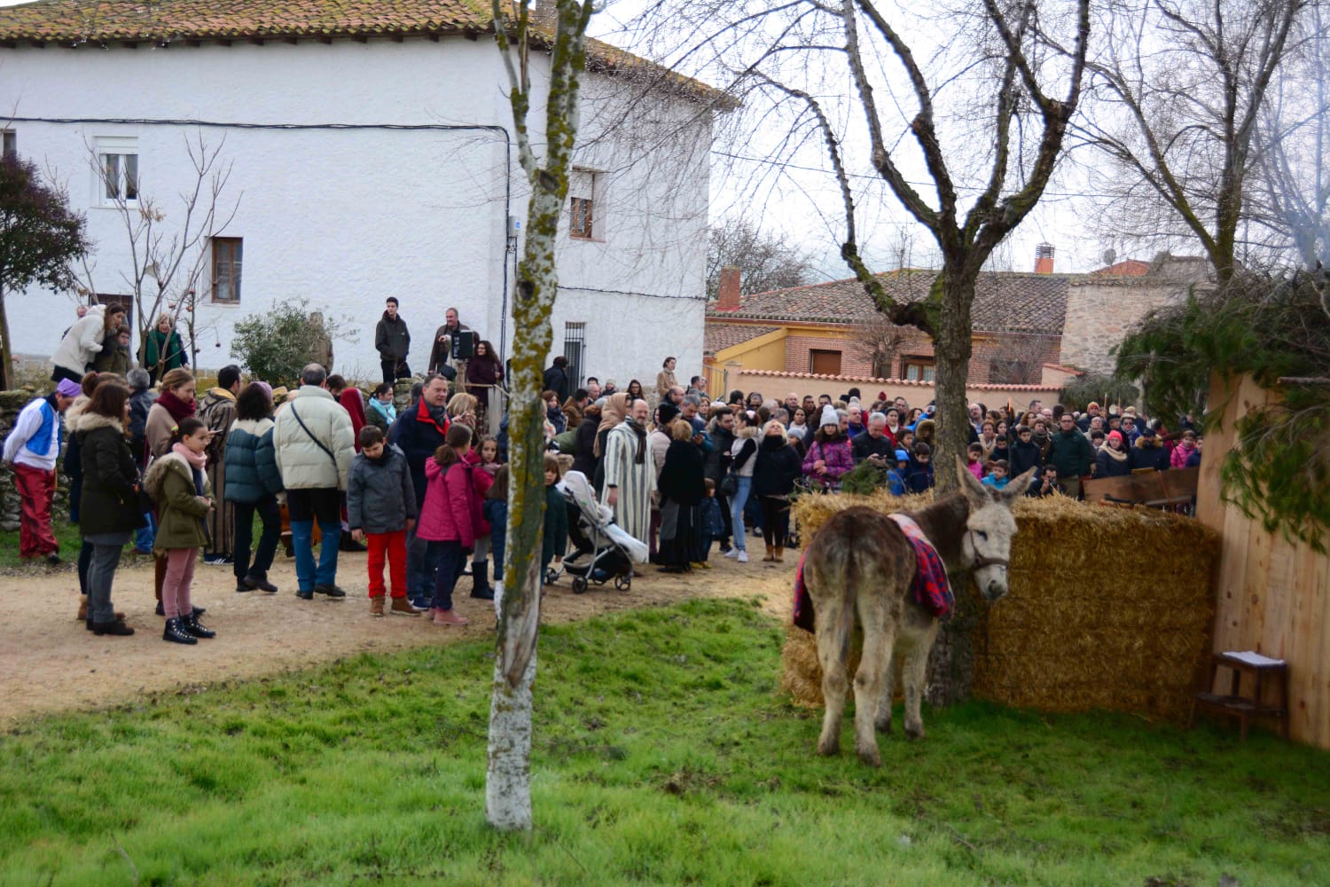 Sesenta actores y la representación de hasta 13 oficios castellanos se han dado cita en esta localidad de Torozos con motivo de la Navidad
