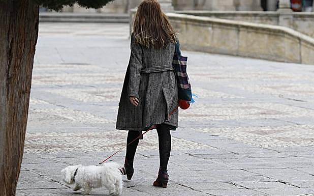 Una joven pasea con su perro por Salamanca.