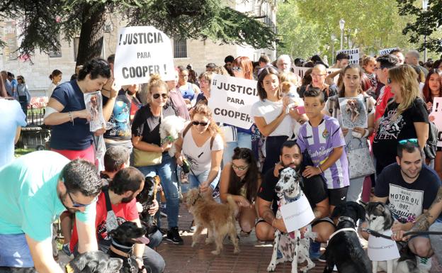 Concentración de repulsa por la muerte del perro Cooper en Santovenia de Pisuerga (Valladolid). 