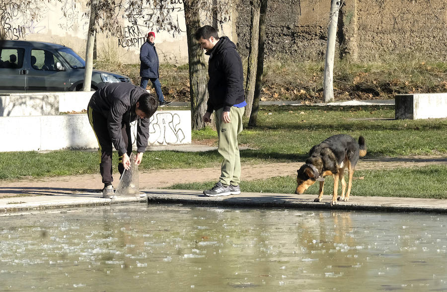 Helada en Valladolid.
