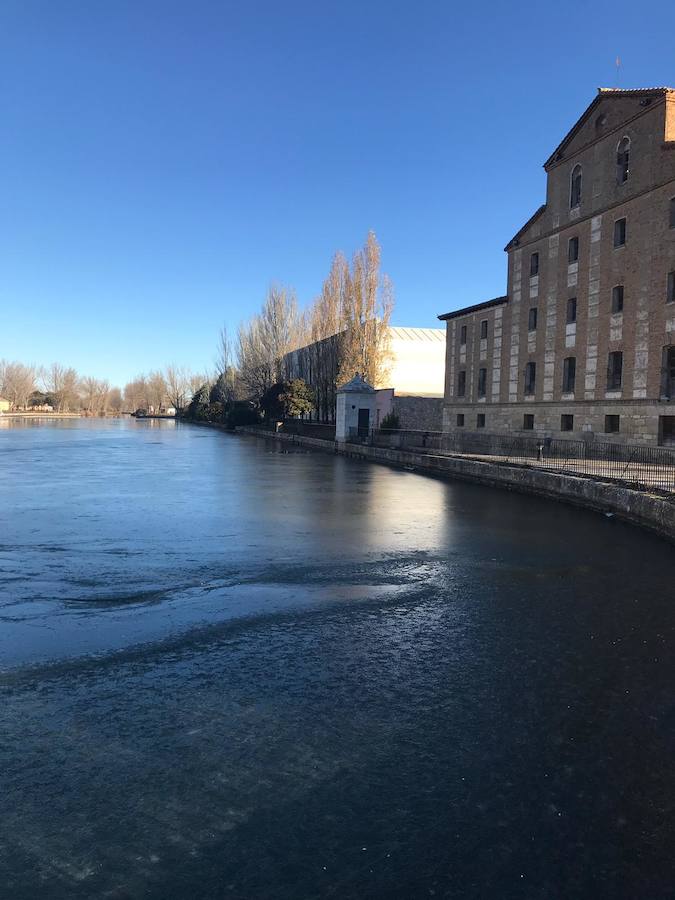 Helada en Medina de Rioseco.