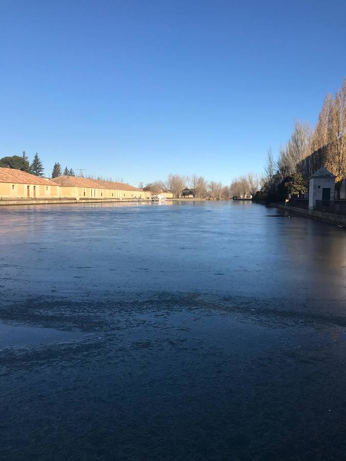 Helada en Medina de Rioseco.