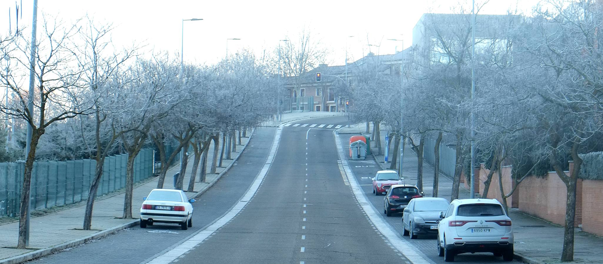Fotos: Helada en Valladolid