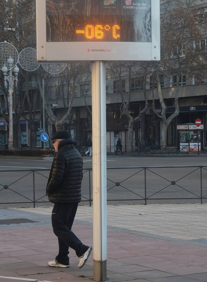 Fotos: Helada en Valladolid