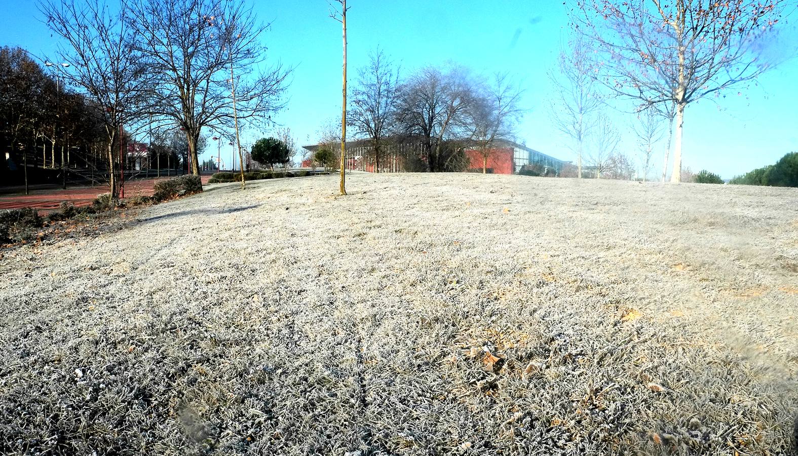 Fotos: Helada en Valladolid