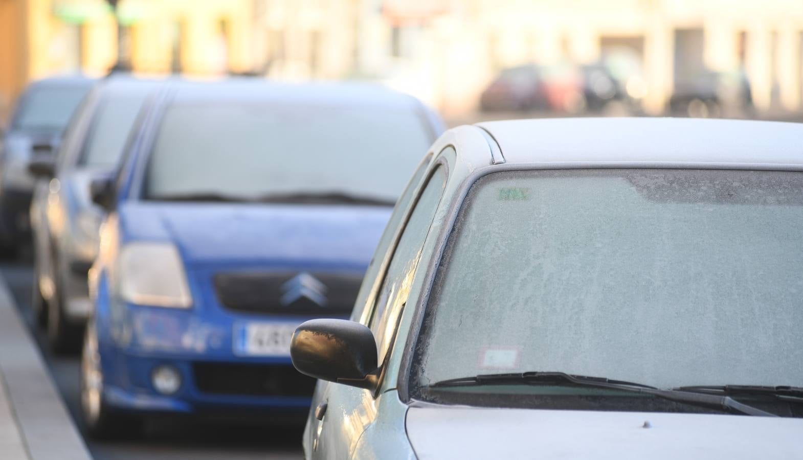 Fotos: Helada en Valladolid