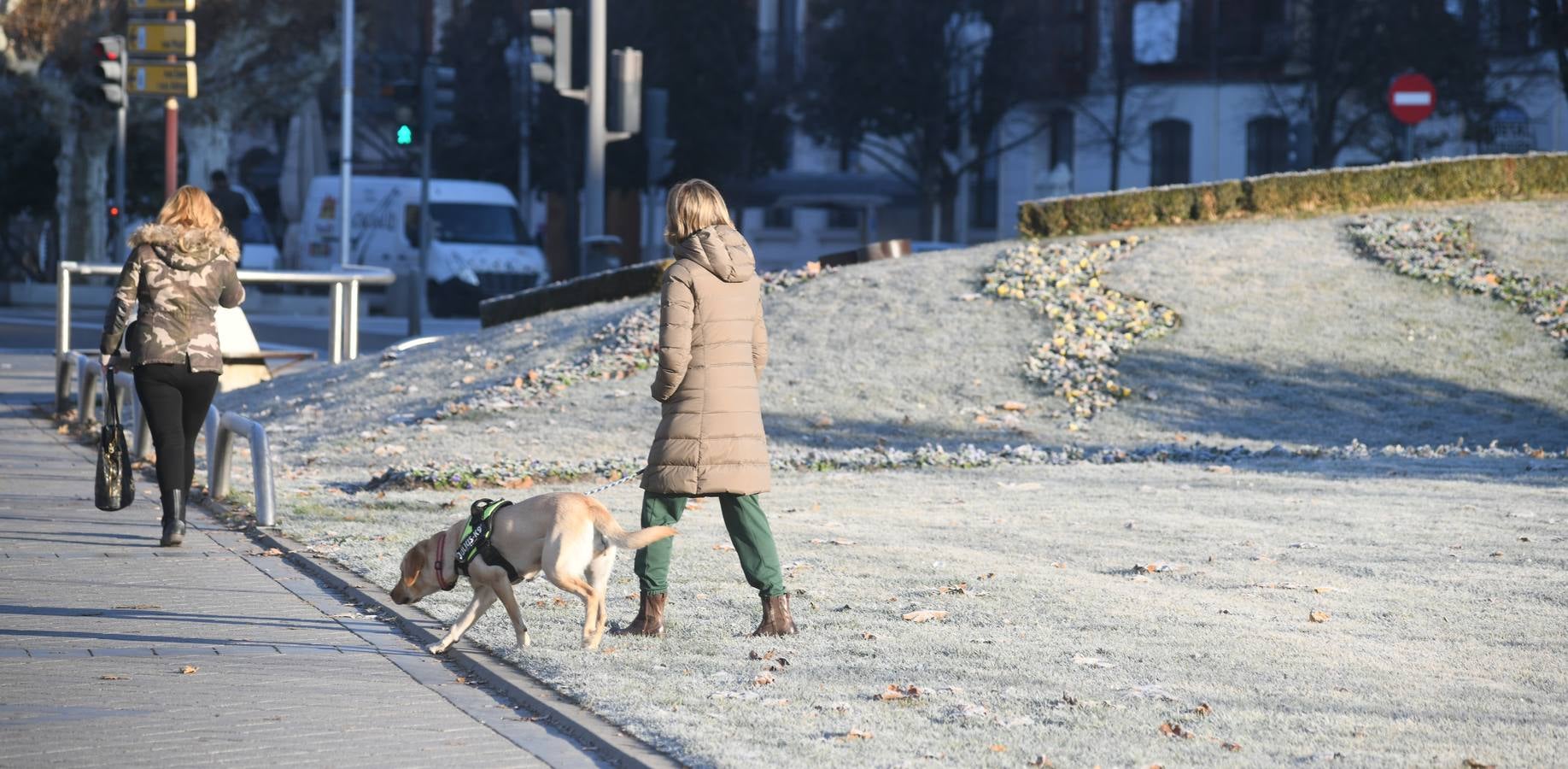Fotos: Helada en Valladolid