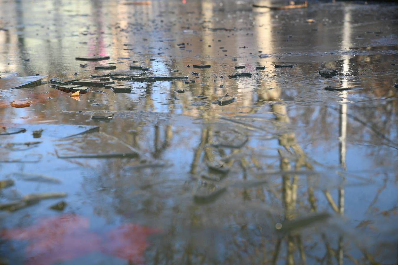 Fotos: Helada en Valladolid