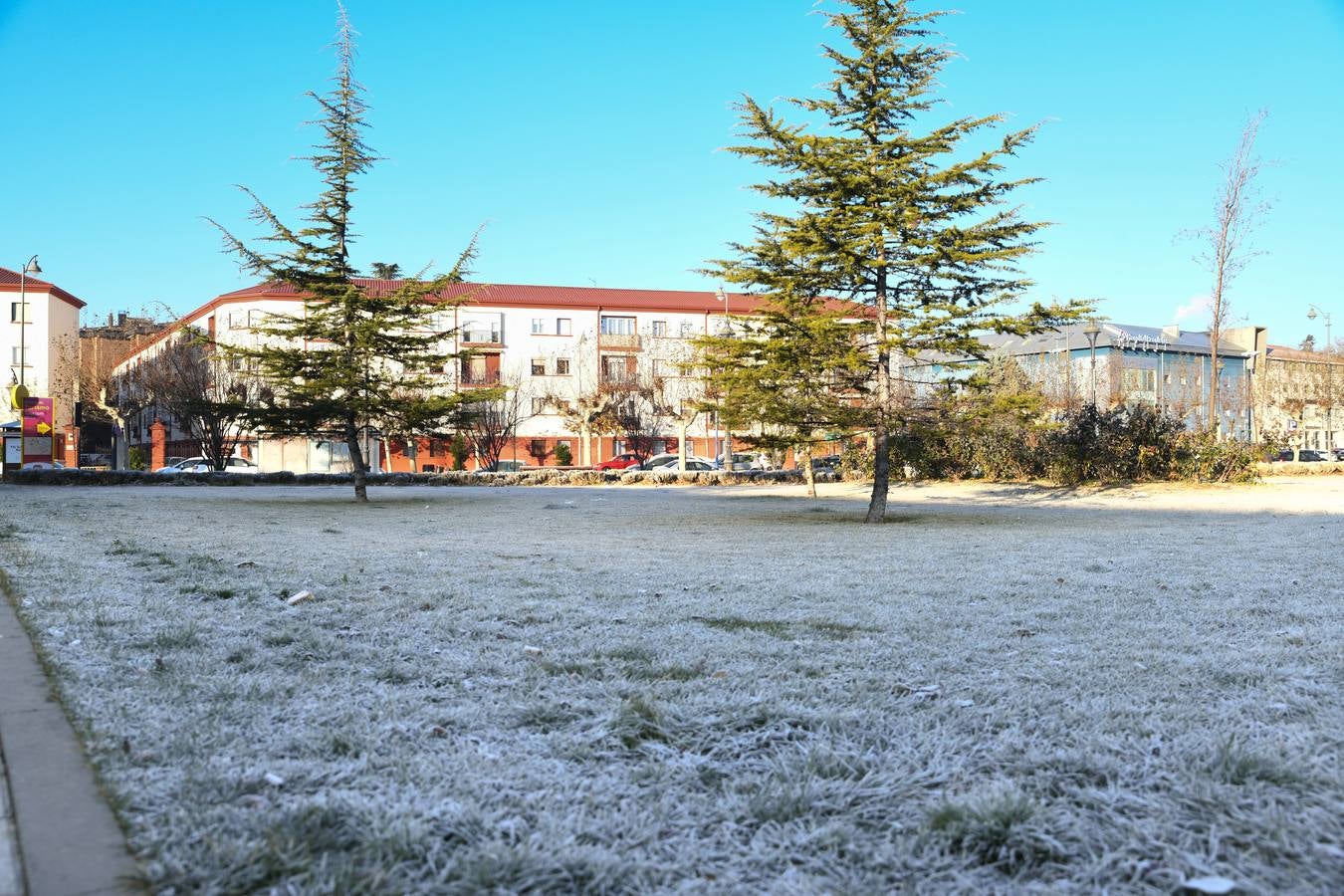 Fotos: Helada en Valladolid