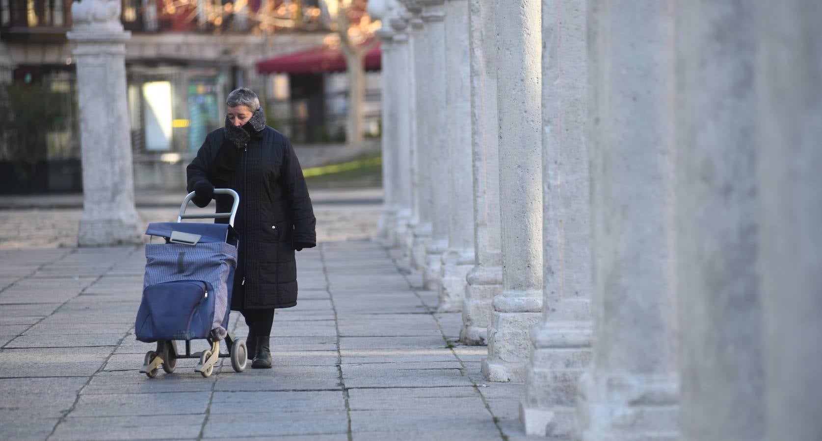 Fotos: Helada en Valladolid