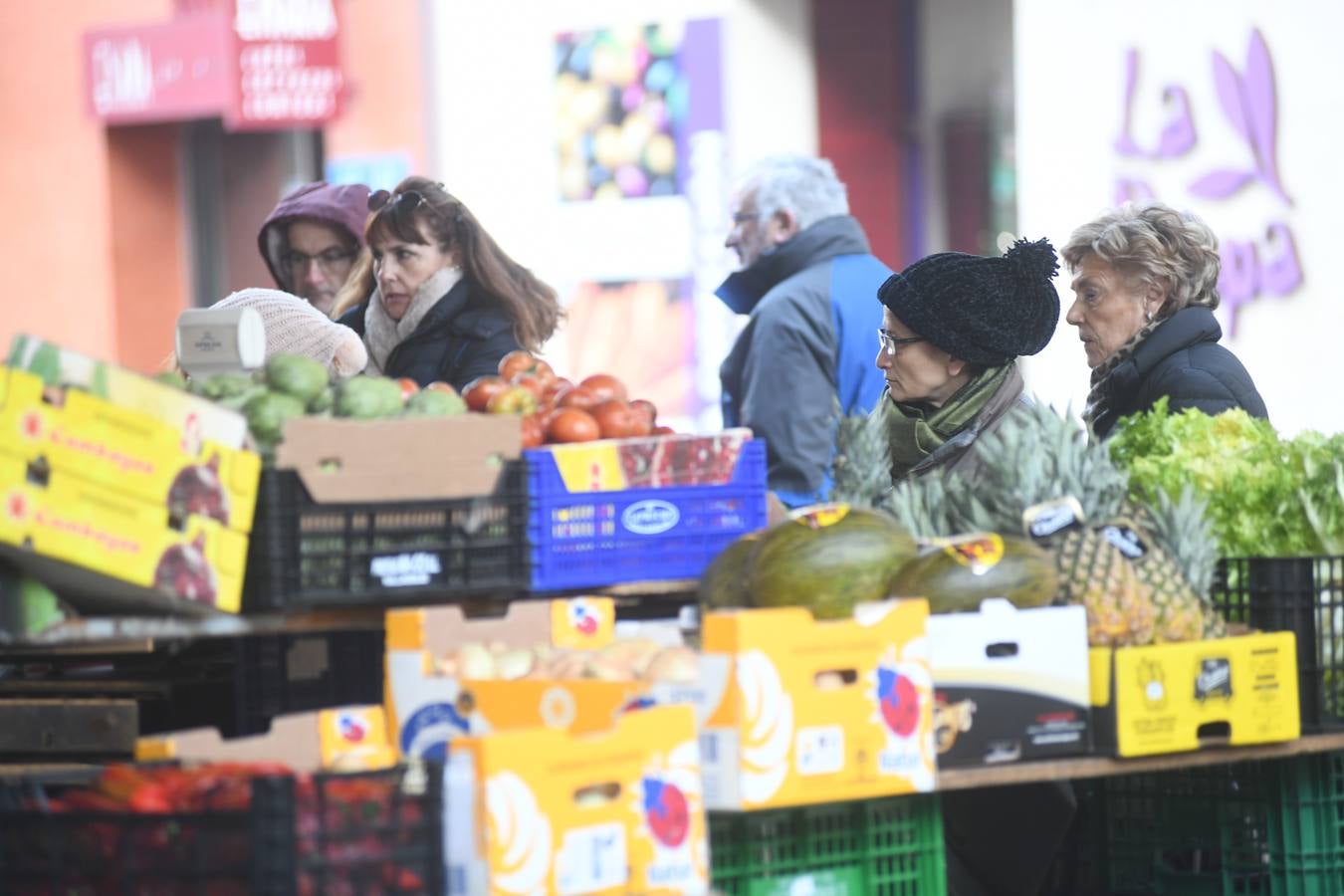 Fotos: Helada en Valladolid